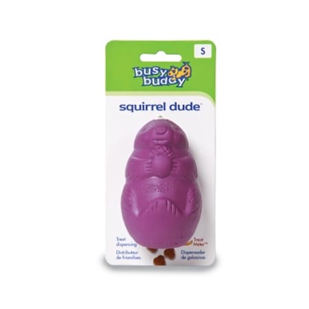 Radio Systems Pet Safe Busy Buddy Squirrel Dude- Small